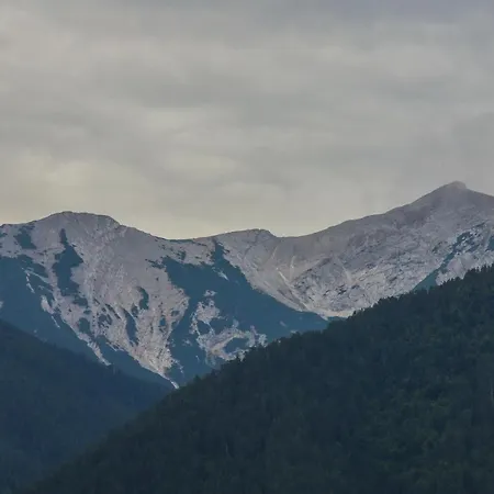 Вилла Mountain Hawk Park *