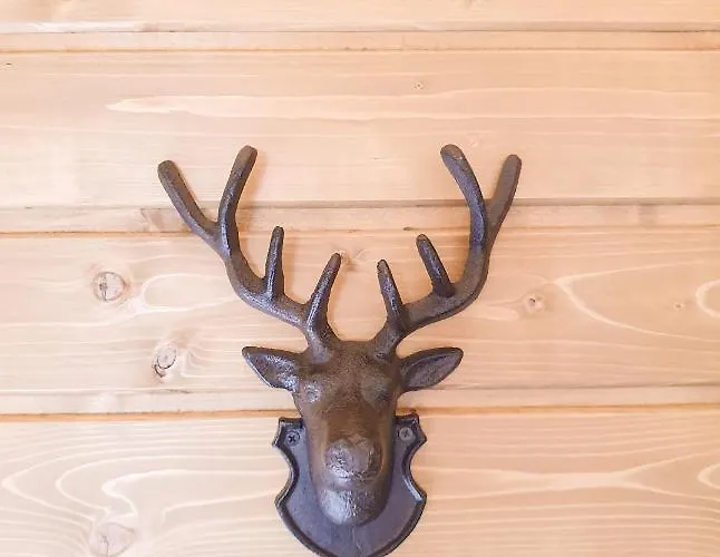 Mountain Hawk Park Bansko